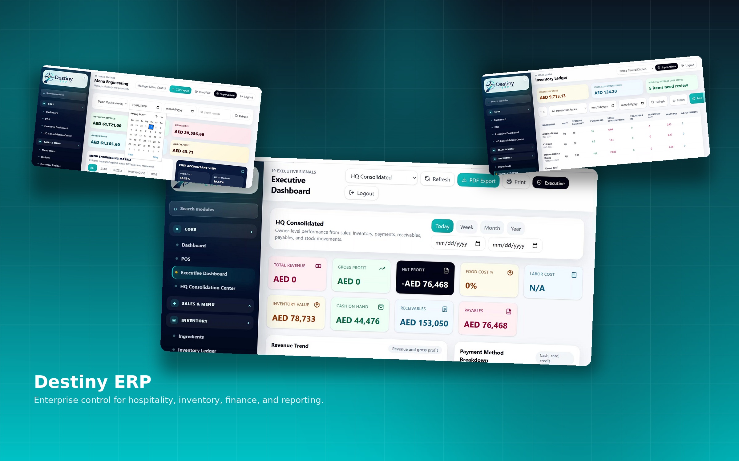 Destiny ERP: real software interfaces