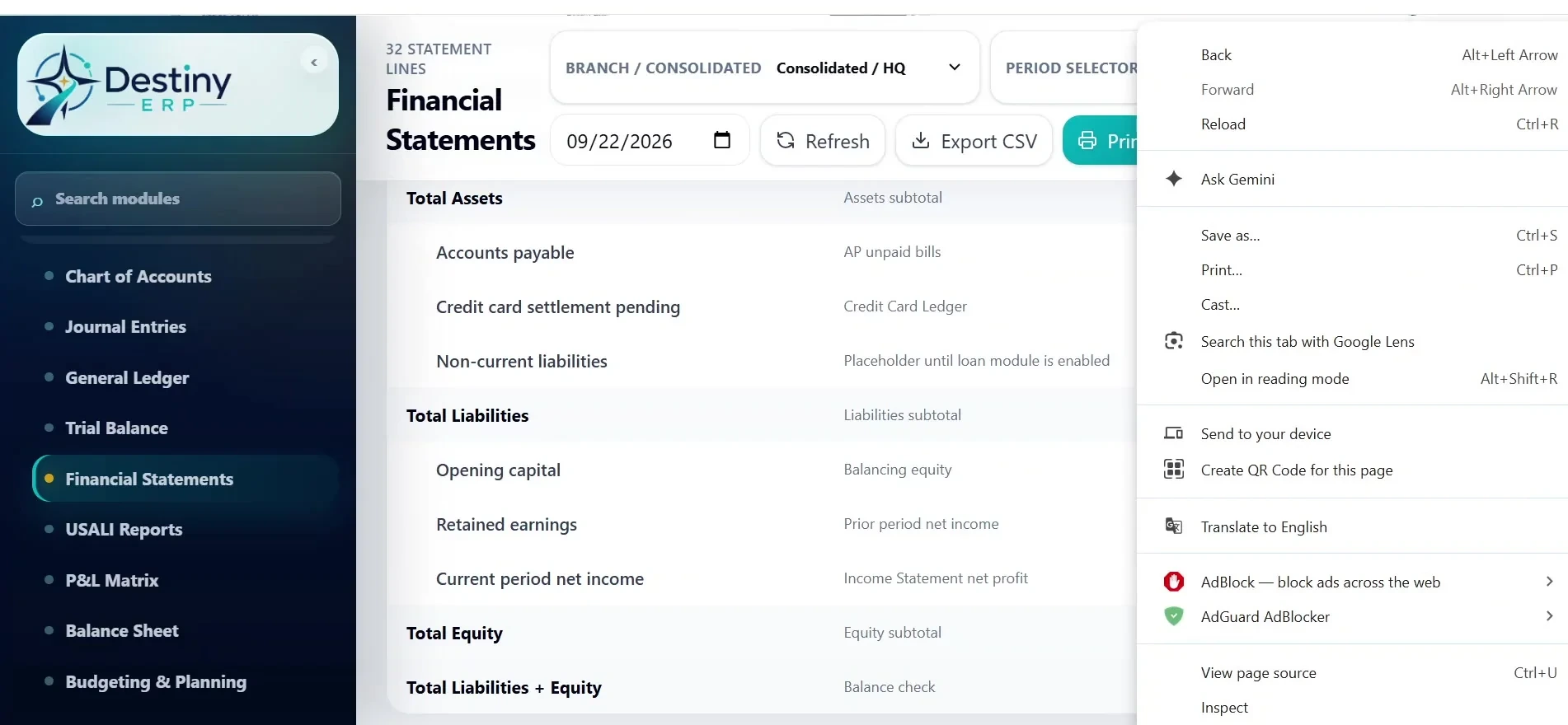 Destiny ERP — Financial statements